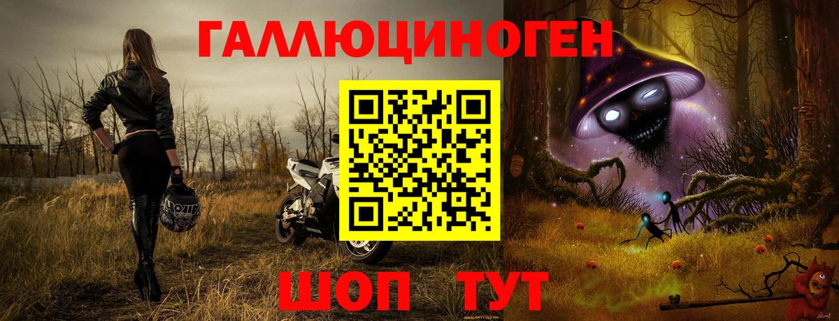 Псилоцибиновые грибы Psilocybe Отрадный