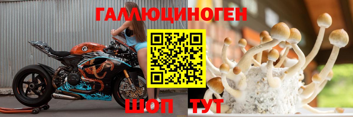 Псилоцибиновые грибы GOLDEN TEACHER  Вход с VPN  наркота  Отрадный 